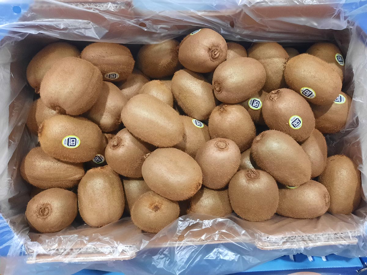 Kiwi verde, origine Italia Cal. 180-180 gr - 3,80 euro/chilo